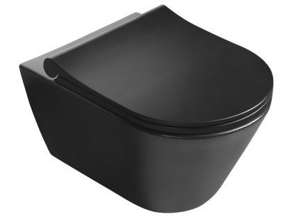 Závěsné WC Avva s bidetovou sprškou, Rimless, černá matná (100312-110)