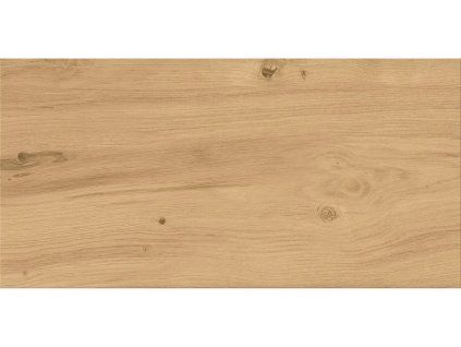 EBS Ashwood Beige 30x60 cm detail dlažby v dekoru světlého jasanu s jemnou přírodní texturou