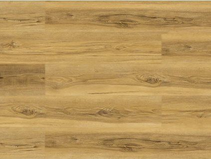 EBS Experto LVT 30 Dub Galla vinylová podlaha 18,4x121,9 cm detail světlého dekoru dřeva