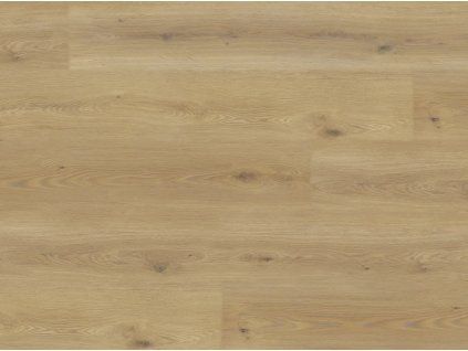 EBS Experto LVT 55 Dub Calle vinylová podlaha k lepení detail textury přírodního dubu