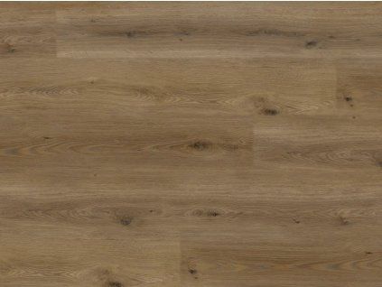 EBS Experto LVT 55 Dub Adax vinylová podlaha detail textury dřeva