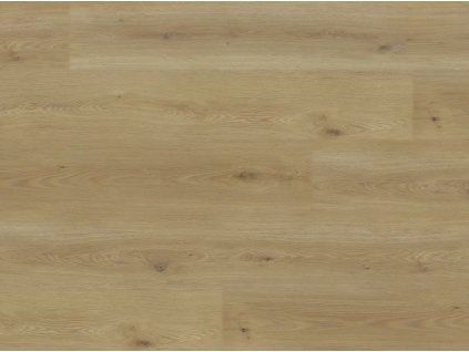 EBS Experto LVT 55 Dub Citi vinylová podlaha k lepení detail textury moderního šedého dubu