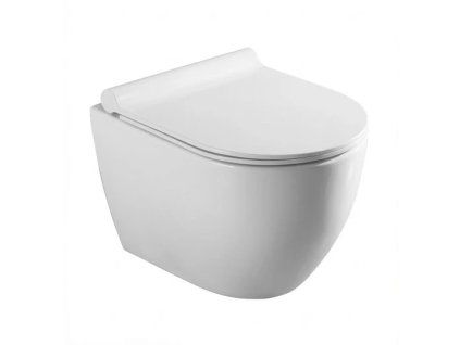 Besteco Závěsná toaleta Vortex bez oplachového kruhu (Rimless) s tichým sklápěcím sedátkem Softclose, bílá keramika TR2196DF
