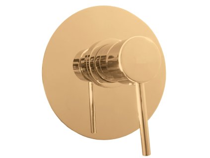 Besteco Sprchová baterie Seina podomítková 1-cestná s tělesem, zlatá kartáčovaná
