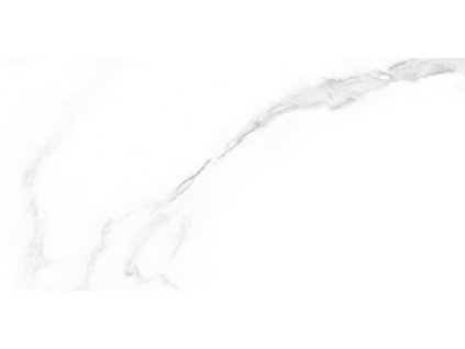livorno gris 30x60 01s lesk (1)