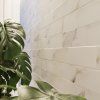 s cava 12