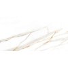 ardenza gold 60x120 01s lesk rekt r9 (2)