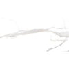 Dlažba bílý mramor se zlatým žilkováním Marmix Span Marble Oro 60x120 cm lesklá rektifikovaná