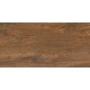 legno cuero 30x60 01s r9
